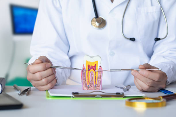Best Emergency Wisdom Teeth Removal in Wagener, SC